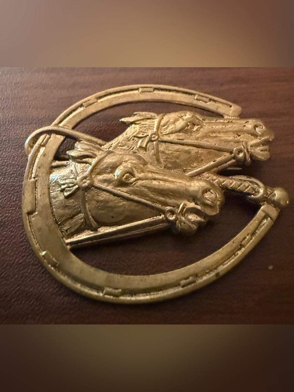 Equestrian Racing Horse Brooch- Brass